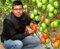 100 Tomatensamen italienische Gemüsesorte F1 Hybridsamen