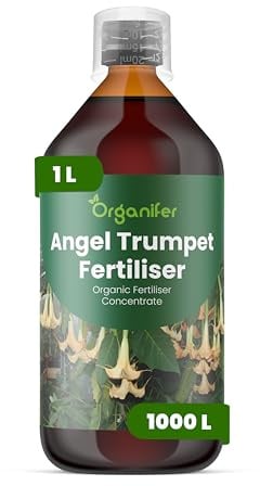 Engelstrompete Flüssigdünger - 1L - NPK 3-4-3 | Flüssig-Pflanzendünger Für Üppige Blüten & Starke Wurzeln - Fördert Stiele & Vitalität - Organifer