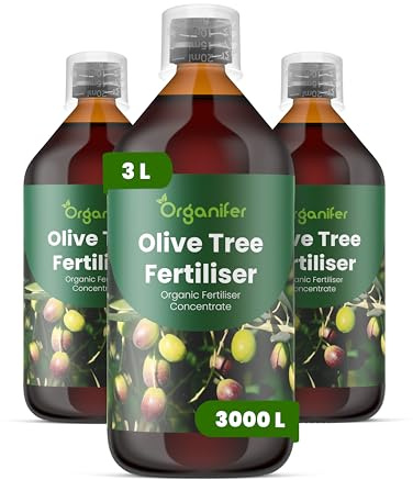 Engrais liquide organique 3x1L pour Olivier – favorise floraison et récolte – Organifer