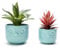 Nattol Owl Succulent Planter, Turquoise Animal Planter Pots with Drainage, Set of 2