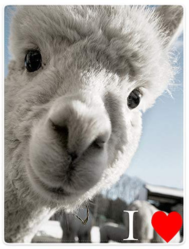 YISUMEI Decke 150x200 cm Kuscheldecken Sanft Flanell Weich Fleecedecke Ich Liebe Alpaka
