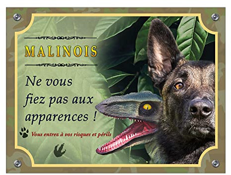 Plaque humour chien Malinois ne vous fiez pas aux apparences panneaux je monte la garde