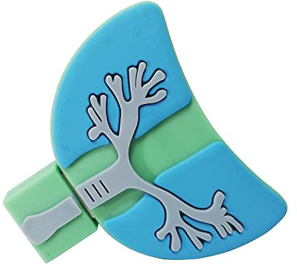 16GB Clé USB 2.0 Clé USB exFAT Clé USB 16G Clé USB Anti-poussière Clé USB Antichoc pour Stockage et Sauvegarde