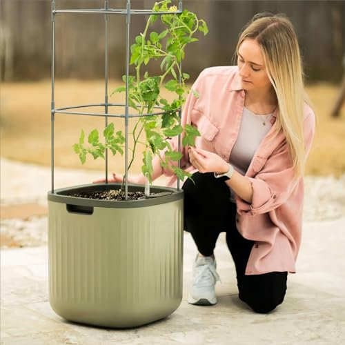 Vego garden Jardinière à tomates avec treillis auto-arrosant - Jardinière surélevée pour plantes grimpantes - Vert sauge