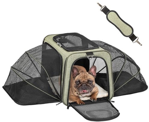 Petsfit Faltbarer Transporttasche Katze und Hund,erweiterbare Katzentransportbox mit Schultergurt Hundetragetasche Flugtasche Oxford Gewebe für Katze und Hund, S/Grün/Doppelseitig