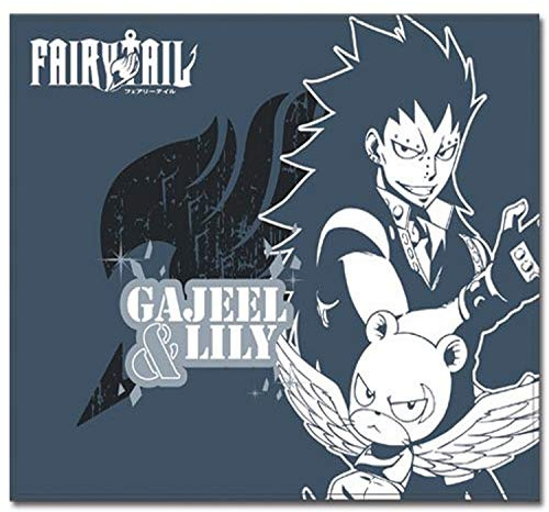 Great Eastern Entertainment 57573 Fairy Tail, S4 Gajeel & Lily Überwurfdecke, Einheitsgröße, Mehrfarbig