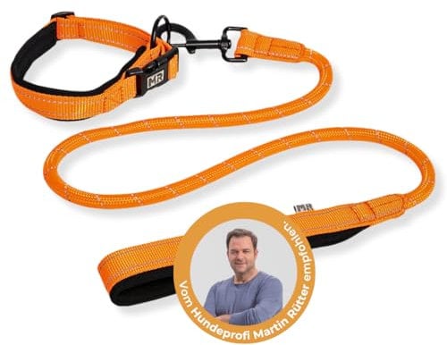 Martin Rütter Hundehalsband & Leine, Kombi-Set, Größe S, Neonorange – extra weich gepolstert, stark reflektierend, stufenlos verstellbar, komfortable Handschlaufe