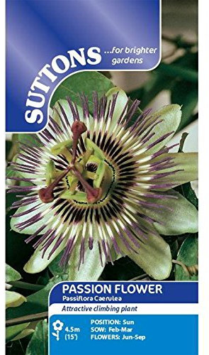 Suttons - Passion Flower Seeds - caerulea