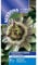Suttons - Passion Flower Seeds - caerulea