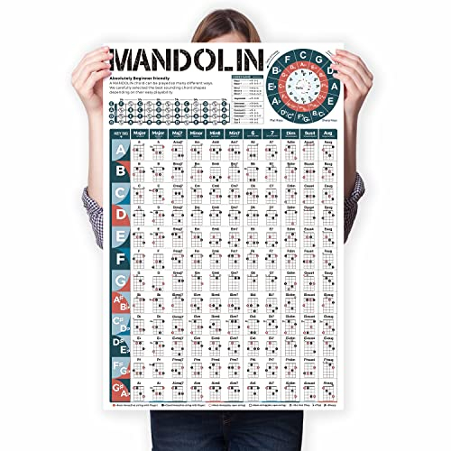 Póster de Acordes para Mandolina Instrumento - Tabla de Acordes Mandolina Instrumento - Círculo de Quintas - Teoría Musical, Cómo Aprender y Tocar Acordes de Mandolina Instrumento para Principiantes