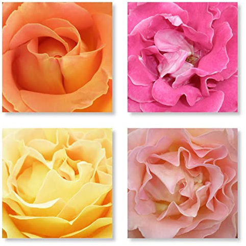 WunschPIXEL – Wandbild Blumen auf weißem Acrylglas, Set 4-teilig je 20x20 cm, quadratisch, Rosen, Gesamtformat Bilderset 40x40 cm, Wanddeko Wohnzimmer oder Küche, inkl. Aufhängung