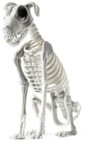 Halloween Hund Skelett, Neuheit Halloween Gruseltier Skelett Dekoration, Halloween Welpe Knochen Skelett Dekoration für Halloween Gruselige Requisiten Gathering Dekor