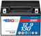 BIG AUX9 Premium Stützbatterie AGM 12V 9Ah 130A/EN