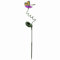 Heitronic 35297 Solar Standleuchte