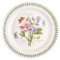 Portmeirion 344655 Botanic Garden Dinner Plate, 10.5, Sweet Pea, Porcelain, White