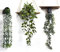 HanYun 3pcs Künstliche Hängepflanze,Kleine Eukalyptus Künstliche Grünpflanze für Weinpflanze im Topf für Zuhause, Innen und Außenbereich, Büro, Hochzeit, Wanddekoration…