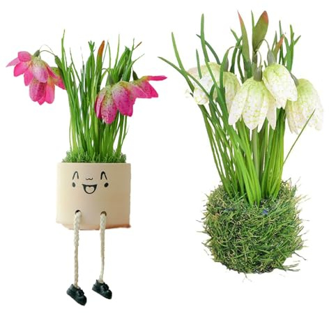 Xusxes 2 Stück Künstliche Blumen, Kunstblumen, Frühlingsdeko, Fake Pflanzen, Tischdeko Frühlin, Kunstblumen Im Topf, Paar Blumenstrauß, für Desktop-Dekoration,Heimdekoration(9.1 * 2.37 * 2.37 In)