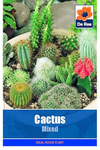 Cactus Mixed - 55 Seeds Flower Plant Bedding Borders Containers Pots Grow Your Own Garden Plant Seed