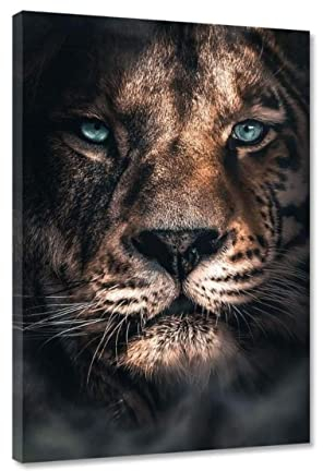 Hustling Sharks® Tierbilder auf Leinwand als XXL Wandbild Mysterious Lioness - Tierbilder im Hochformat (30x45cm), Löwe Bild, Wandbild Löwe, Löwe Leinwand, Bilder Deko Wohnzimmer, Löwen