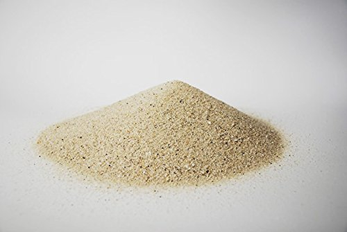 Triops King Aquarienkies für Urzeitkrebse 1 Kilogramm