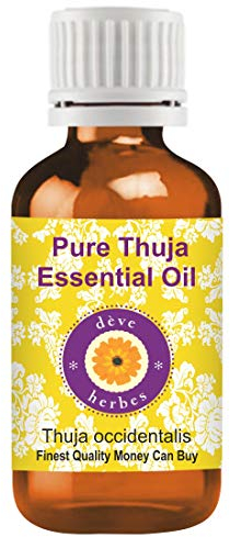 Deve Herbes Pure Huile essentielle de Thuya (Thuja occidentalis) Distillé à la vapeur qualité thérapeutique naturelle 10ml (0,33 oz)
