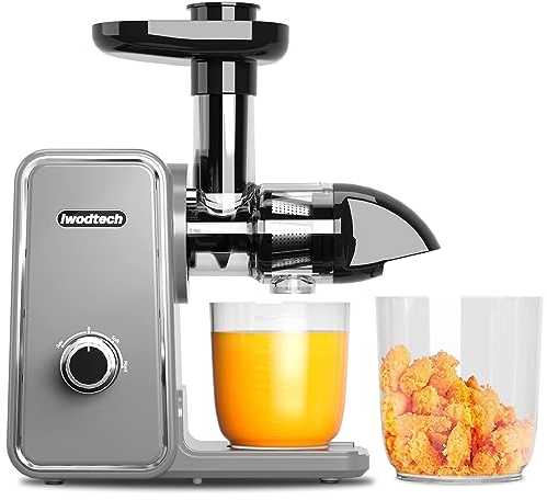 IWODTECH Spremiagrumi con 2 modalità di velocità, spremiagrumi a masticazione lenta per verdure e frutta, senza BPA, facile da pulire, grigio galassia