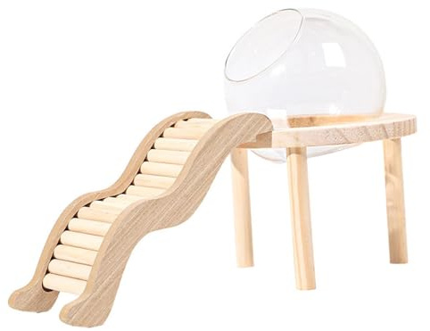 Fzaqwen Terrarium Container Holzbasis, Transparentes Glas Sandbad, Hamster Sandbad für Mäuse, S