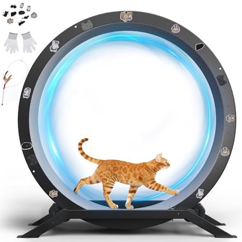 GTPLAYER Katzenlaufrad, laufrad Katze, Extra großer 100 cm, ultraleises Laufrad mit Abnehmbarer Teppich und Spielzeug, Aufkleber, Verriegelung, geeignet für die meisten Katzen, Metall,Schwarz