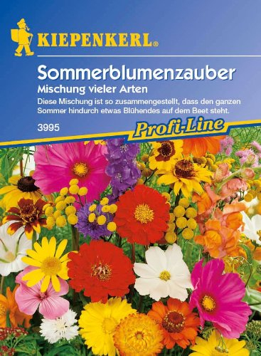 Sommerblumen-Zauber, 'Mischung vieler Arten'