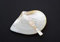 Mother of Pearl Caviar Set - 4 inch Spoon - 5.5 inch Plate