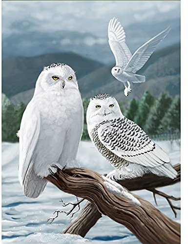 CULASIGN DIY 5D-Diamant-Malereiset, Eule Diamond Painting Full Strass Kreuzstich, Diamant Malerei Kits Malen nach Zahlen für Home Wanddekoration Geschenk (D,30x40cm)