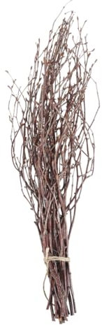 HAMPPLIES 10stücke Lange Natürliche Birkenäste Dekorative Trockenäste Für Heimdekoration Bastelarbeiten Und Fotografie Braune Holzstäbe Für Kreative Projekte