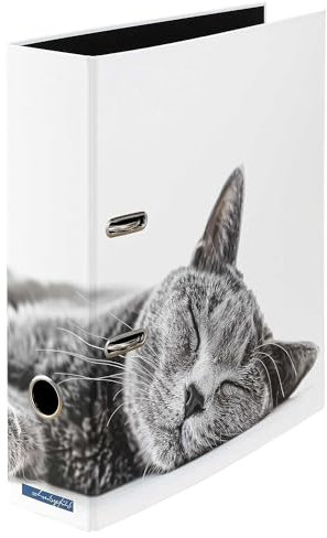 Samtpfote - Ordner Motiv Aktenordner Büro DIN A4 ca. 8 cm breit Karton Design Katze Entspannung weiß grau