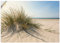 ARTland Wanddeko Wandtattoo selbstklebende Vinylfolie 100x70 cm Strand Meer Dünen Küste Meerblick Sommer Sonne Himmel Gräser S9ZI