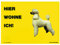 Schecker Pudel, weiß Warnschild - Warnschilder Hund - Hier wohne ich - 20 x 28 cm - viele Rassen