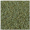 5 g Miyuki Delica Rocailles Seed Beads, 11/0 (1.6 mm) Luminous Green Asparagus (Miyuki Delica Rocailles Samenperlen Grün)