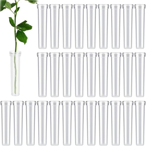 30 Stück Reagenzgläser Für Blumen, Reagenzglas Vase, Reagenzglas Kunststoff, Blumenröhrchen Mit Kappen Für Blumenarrangements Blumen Pflanzen Dekoration