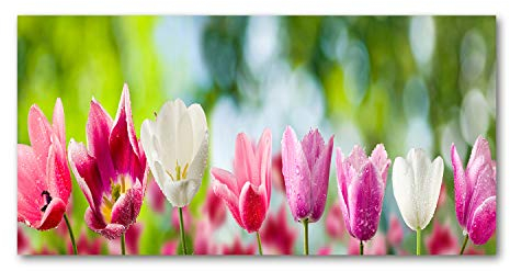 Tulup Glass Picture Wall Art - 100x50cm - Tempered Glass Decoration - Print for Living room Bedroom - Toughened Glass Image - Glass picture Wall Art - tulips