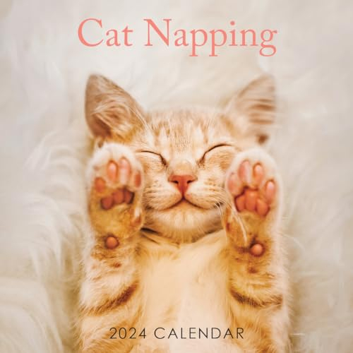 2024 Quadratischer Wandkalender zum Aufhängen, kein Kunststoff (2024 Katzen-Nickerchen, quadratischer Wandkalender)