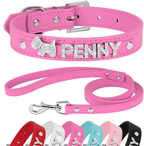 Didog Ensemble collier et laisse en cuir synthétique lisse avec strass et lettres de nom personnalisées, pour chiens de petite et moyenne taille XS : 1,6 x 20,3 à 25,4 cm, ensemble rose vif)