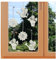 Fensterbilder Gartenset Vogtländische Spitze 6er Set Spitzen-Anhänger mit Sommer-Blumen für Fenster oder Sträuße | Kleine Blüten in Natur ca. 8 x 7 cm | Dekoidee für Frühling und Sommer