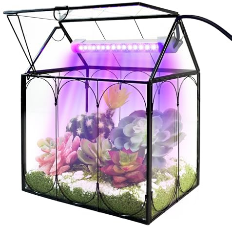 RIFNY Kit de terrarium avec lampe de croissance, grand pot de terrarium en verre avec tapis absorbant et couvercle pour piège à mouches Vénus, plantes grasses vivantes, décoration d'intérieur et de