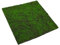 Cabilock Gazon Artificiel 50 X 50 Cm Tapis De Mousse Synthétique pour Décoration Murale De Jardin