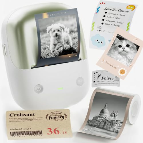 NIIMBOT B2 Pro Étiqueteuse Portable 300 DPI, Impression Hors Ligne, Vert | Rouge & Noire et Photos, Thermique sans Encre, Connexion Multi-Bluetooth pour Maison/Bureau/École, avec 1 Rouleau 50x30mm