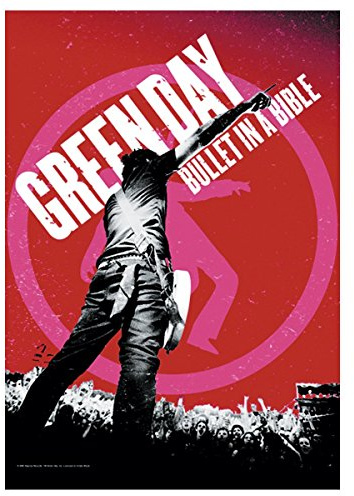 Poster Fahne Green Day Bullet in a Bible