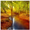 Waldtapete - Vliestapete Premium - Herbstwald - Fototapete Wald Quadrat Vlies Tapete Wandtapete Wandbild Foto 3D Fototapete, Größe HxB: 240cm x 240cm