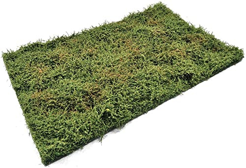 Ammo by mig Jimenez – Ammo by Mig Jimenez – Zubehör Diorama Wilderness Fields with Bushes – Early Summer Ammo by Mig Jimenez Amig8363 Modellpanzer