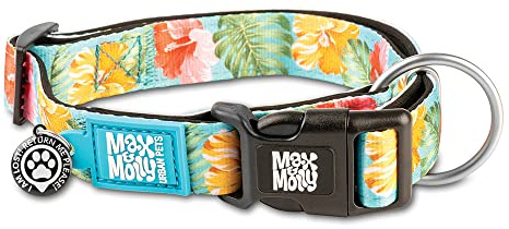 Max & Molly Urban Pets Hundehalsband Welpenhalsband mit Power-Schnalle, lustiger Stil für kleine, mittelgroße, große Hunde Welpen, Gotcha QR Code Pet ID, XS (9-14'')