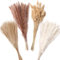 ZJTAPE Pampas Secas Decoracion - 110 Piezas Flores Secas Naturales, Flores Secas y Lagurus Deco, Ramo Seco Flores Secas para Mesa de Boda Salón Jarrones Boho Decoración del Hogar