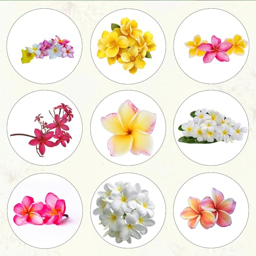 150 pcs frangipani pflanze samen bonsai topf deko pflanze büropflanzen Plumeria rubra, balkonpflanzen winterhart geschenke für hobbygärtner bonsai samen winterharte balkonpflanzen